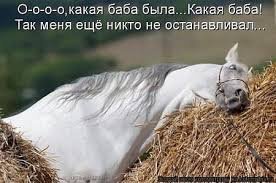 Бой-бабы, или Кто в семье главный