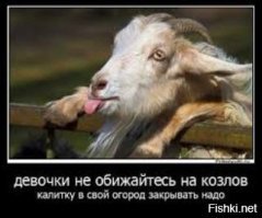 Все мужики козлы