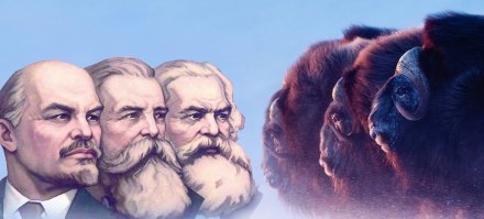 Дикие животные и природа на снимках Флориана Шульца