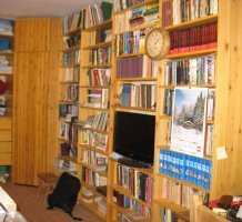 Утром в интернете - вечером в куплете: конструкция из книжных полок своими руками