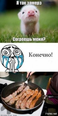 Страшнее вепря зверя нет! Кабанчик пытается забодать своего обидчика