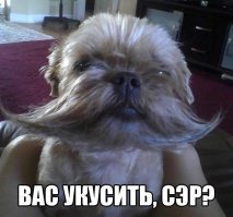 Кому намордники?