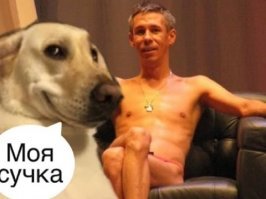 когда хозяин хотел собаку))
