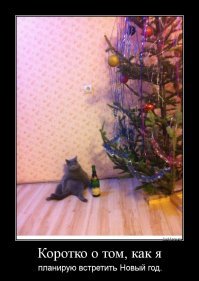 Тест: Какой вы новогодний киногерой?