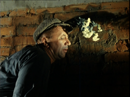 Надо было цветочки в стену воткнуть. Эх вы...