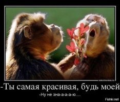 Бой-бабы, или Кто в семье главный