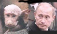 Это что, теперь уникальный случай?? Мы это 16 лет наблюдаем!