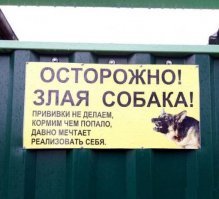 Билл Гейтс подарил 13-килограммового кота незнакомке с интернет-форума
