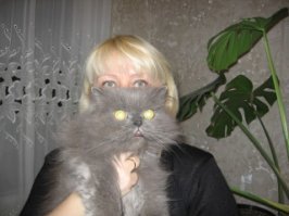 Любимцы