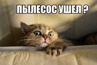 Картинки с надписями для настроения