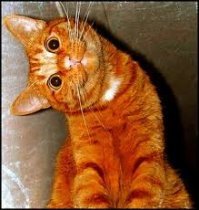 Картинки с надписями для настроения