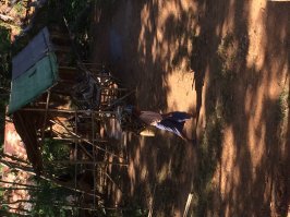 Женщины, которых трудно назвать слабым полом!