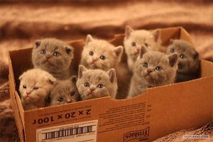Некоторые всё же ждут.