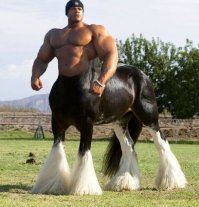 * 
Среднестатистический мужчина способен развивать 1 лошадиную силу при замере большинством способов.