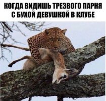 Картинки с надписями для настроения