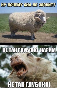 Рождение это малыша - настоящее чудо и огромная редкость. и вот почему