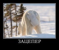 Оказывается, они и в природе есть