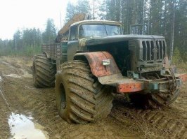 Автовсячина