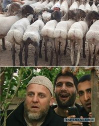 Подумаешь, с козлом. Еще не такое бывает.
"В Дагестане в родился ягнёнок с человеческим лицом"