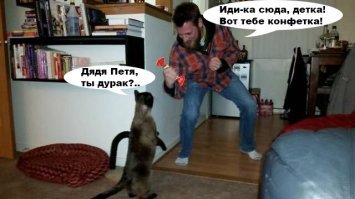 Картинки с надписями для настроения