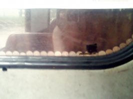 Фото реальное,кто помнит поймёт