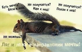 Фотоподборка