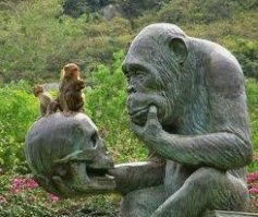 Экстремалы оказались в реанимации, неудачно спрыгнув с моста на тарзанке 