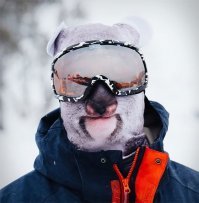 Ну Милонов, ну кто так прячется!
