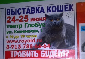 Еще один пример грамотно размещенной рекламы: