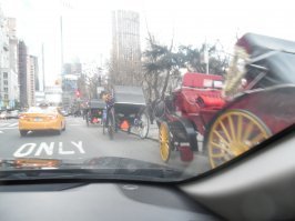 Рождество в Нью-Йорке: атмосферные фото праздничных улиц