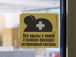 Ну хоть крысы здоровы.