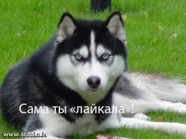 Картинки с надписями для настроения