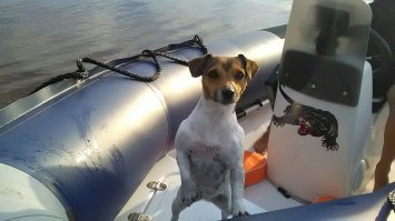 моя так же по кровати всю ночь шорится