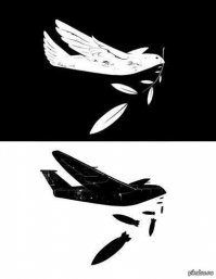 Фотоподборка за 25.12.2017