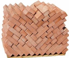 Крик ужаса: аллигатор запрыгивает в лодку с туристами 