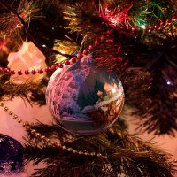 Обновил немного в этом году елочку. Купил 12 игрушек.
Каждая игрушка от 600р. до 2000р.
Прикрепил одну из игрушек - цена толи 1000, толи 1200р.
Стекло, ручная работа, размер с большой апельсин =)