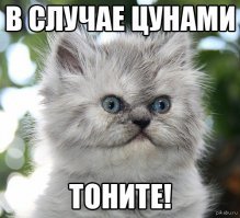 Не совсем уместно, просто руки чесались этих котов запостить :) Всем добра и пусть неприятности обходят вас стороной :)