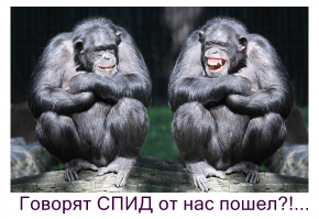 15 бредовых мифов о животных, которые пора развеять