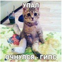 Молоденькие красавицы 