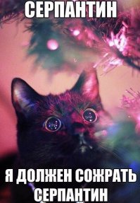 Праздник к нам приходит.