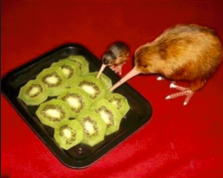 Картинки с надписями для настроения