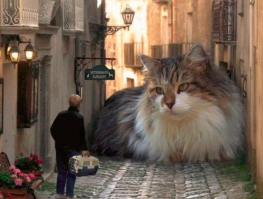 Картинки с надписями для настроения