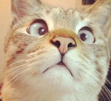 А Вы это с кем сейчас разговаривали ?