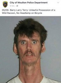 Барри Ларри Терри- Незаконное то ли владение , то ли овладение диким енотом, отсутствие переднего фонаря на велосипеде. Но выглядит так , как будто енот им обладал .