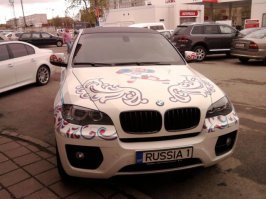 Автовсячина