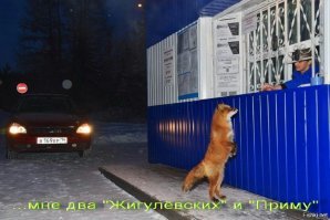 Ларьки и киоски, какими мы их запомнили