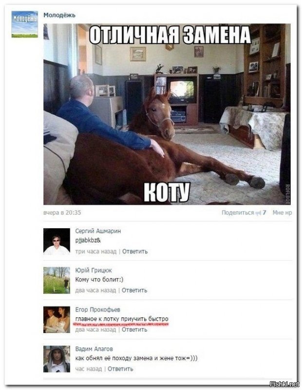 Кому и кобыла невеста.