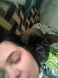 Бигль говорите ? ... С нами спит боксер :))) Иногда с нами ..иногда на нас ... иногда вместо нам :-))