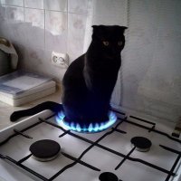 Фотоподборка за 27.12.2017