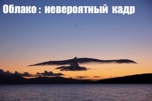 Фотоподборка за 27.12.2017